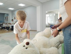 img (8)